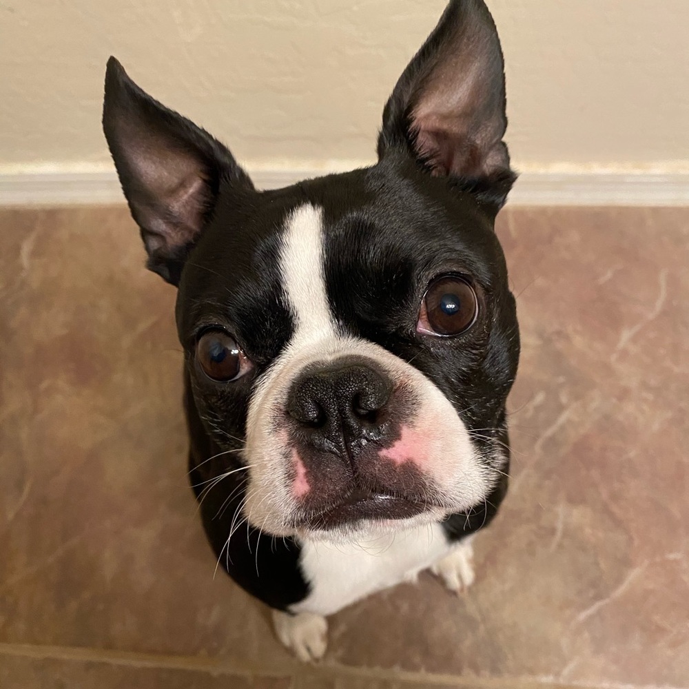 Meet your Posher, Kinsey